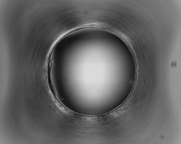 X0000101140816200806270918