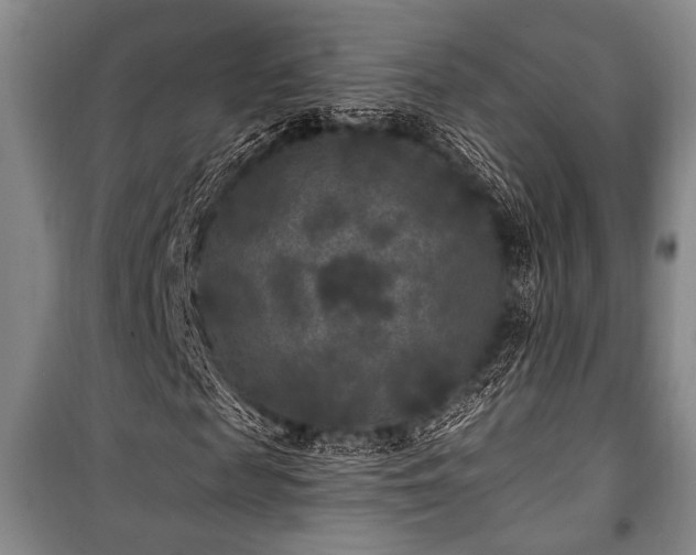 X0000101140817200806270917