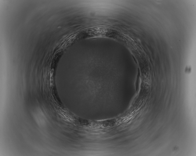 X0000101140818200806270917