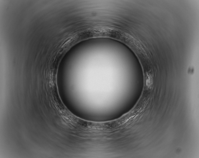 X0000101140819200806270917