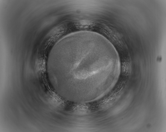 X0000101140820200806270917