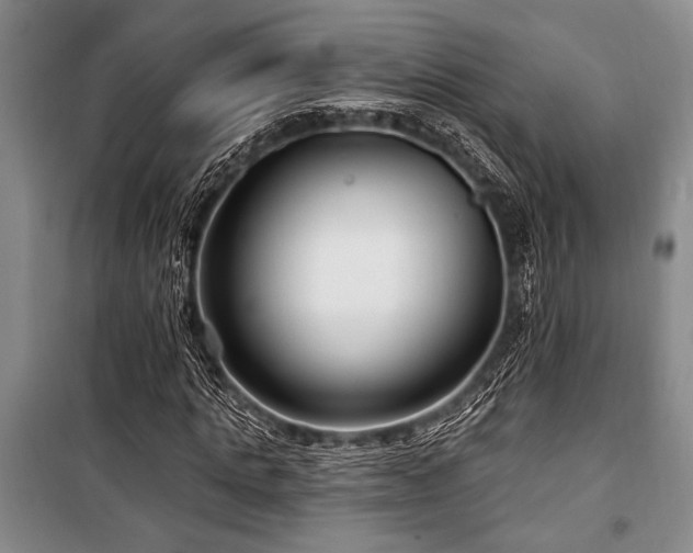 X0000101140821200806270917