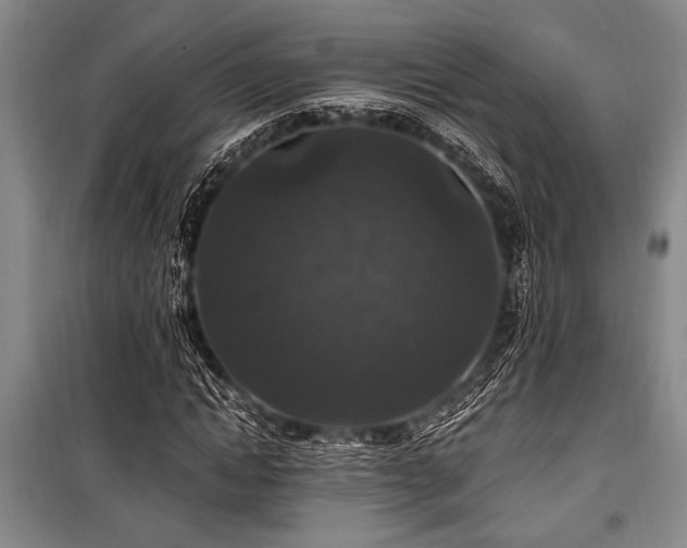 X0000101140822200806270917