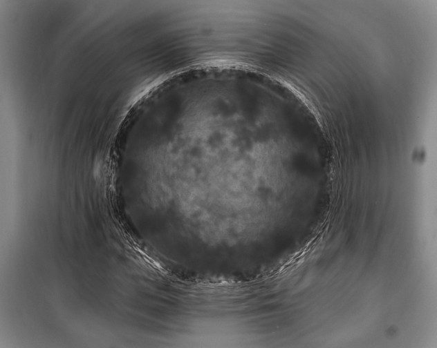 X0000101140823200806270917