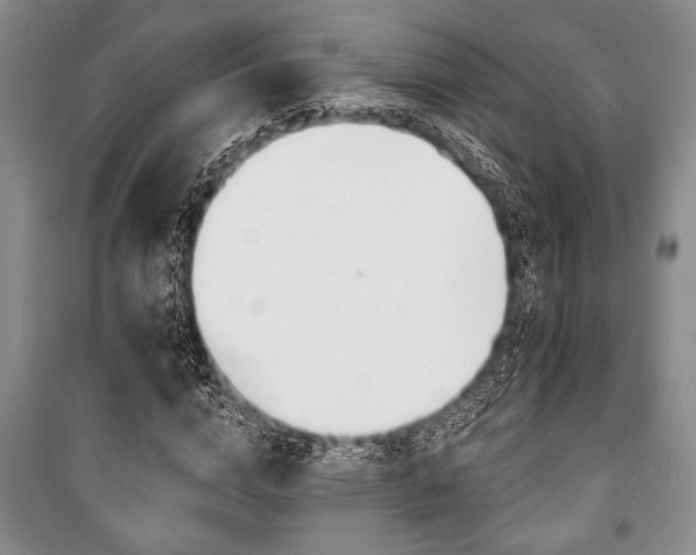 X0000101140824200806270917