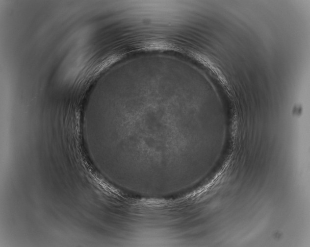 X0000101140825200806270917