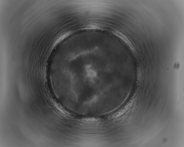 X0000101140826200806270917