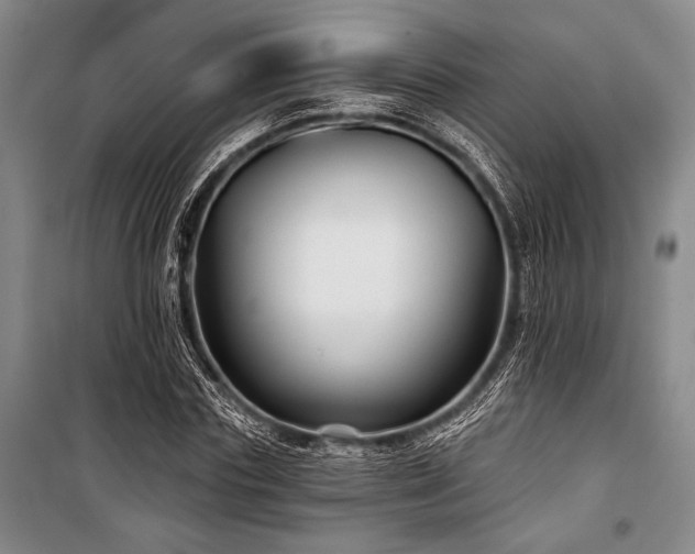 X0000101140827200806270917