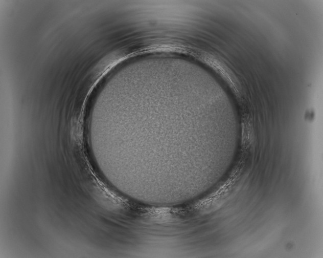 X0000101140828200806270917