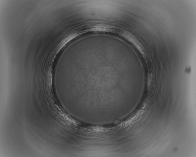 X0000101140829200806270917