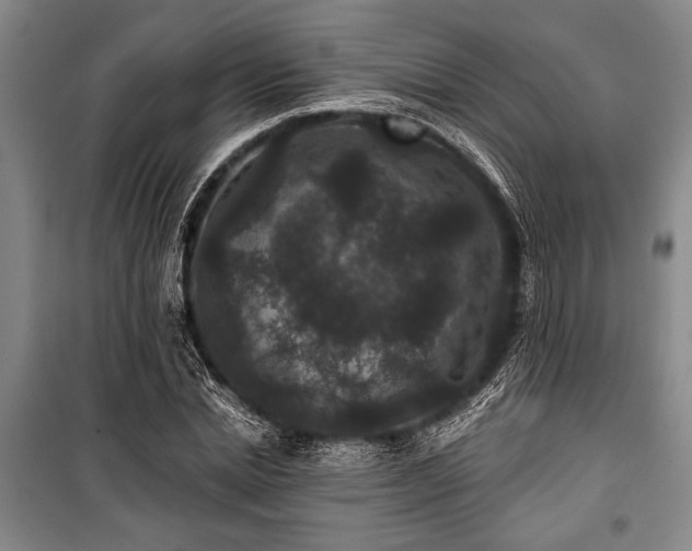 X0000101140830200806270917