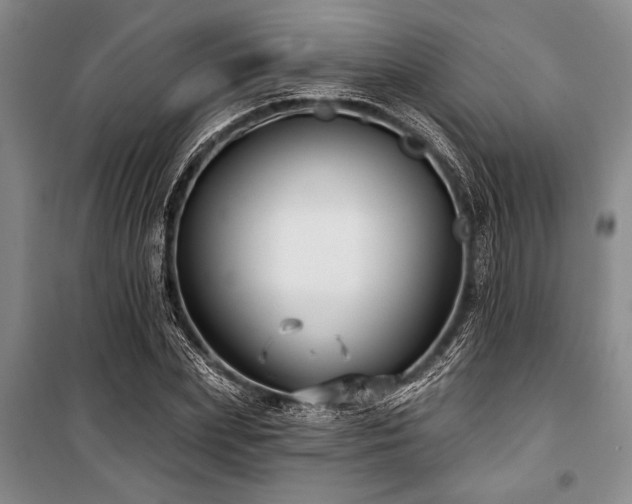 X0000101140831200806270917