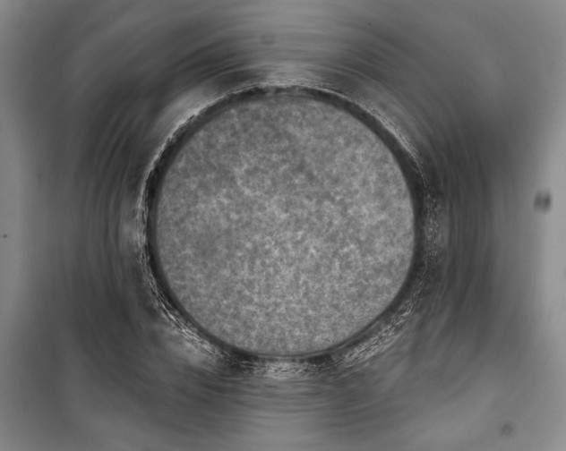 X0000101140832200806270917