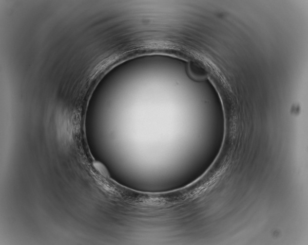 X0000101140833200806270917