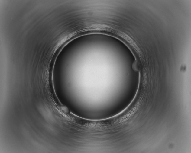 X0000101140834200806270917