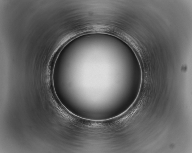 X0000101140835200806270917