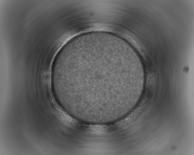 X0000101140836200806270917