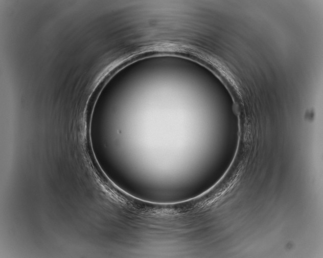 X0000101140837200806270918