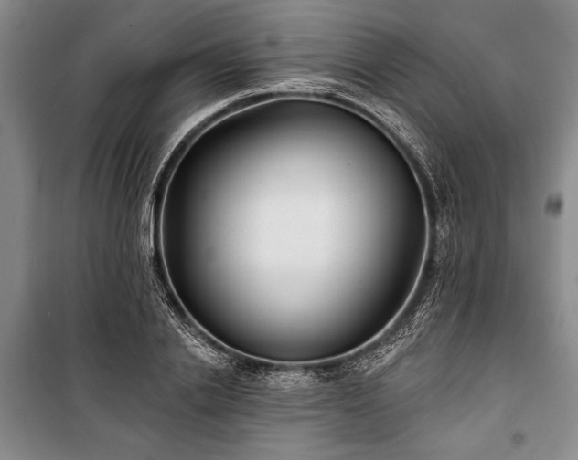 X0000101140838200806270918