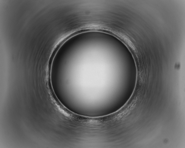 X0000101140839200806270918