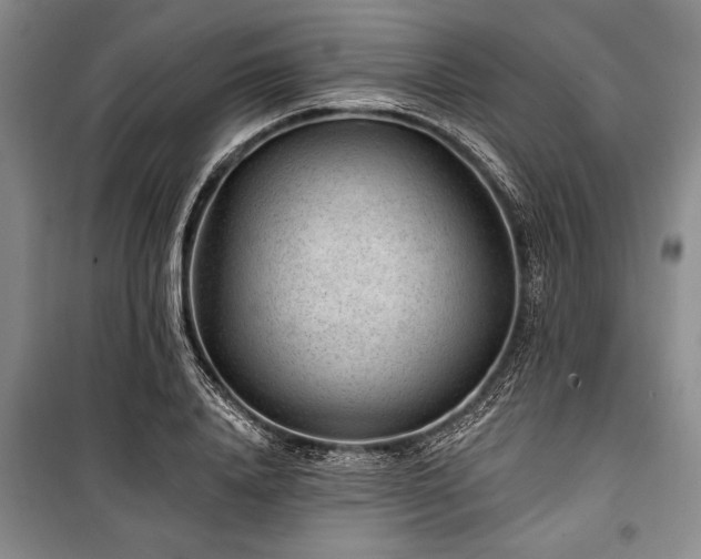 X0000101140840200806270918