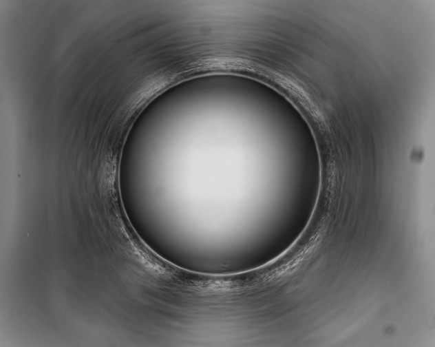 X0000101140841200806270918