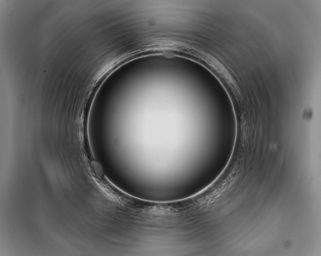 X0000101140842200806270918