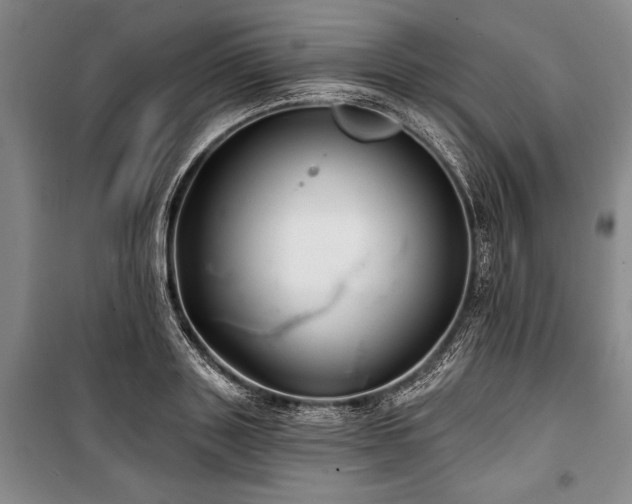 X0000101140843200806270918