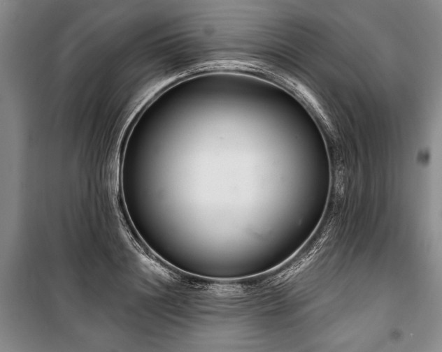 X0000101140844200806270918