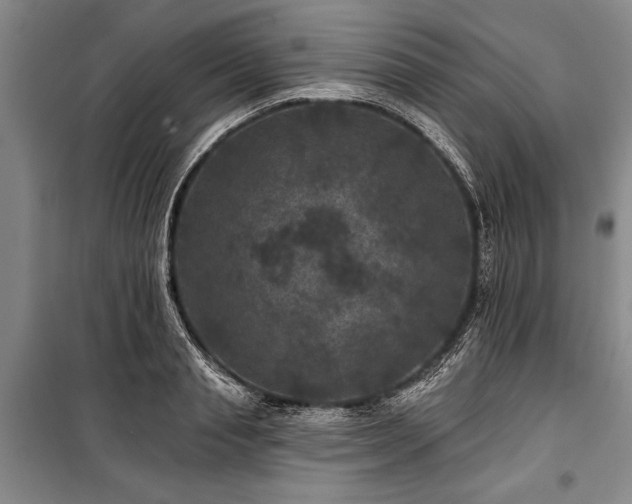 X0000101140845200806270918