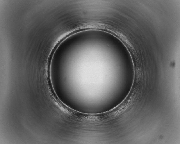 X0000101140846200806270918