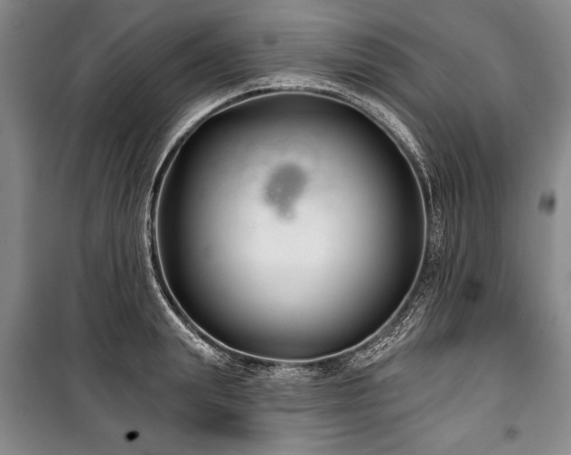 X0000101140847200806270918