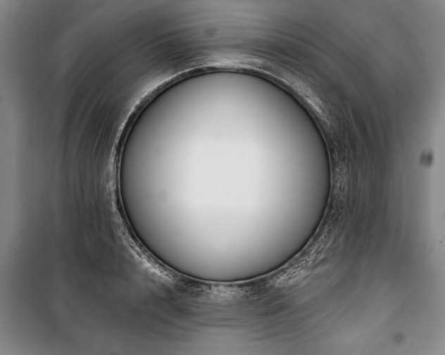 X0000101140848200806270918