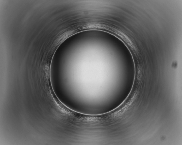 X0000101140849200806270918