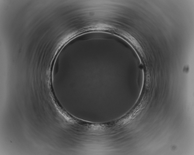 X0000101140850200806270918