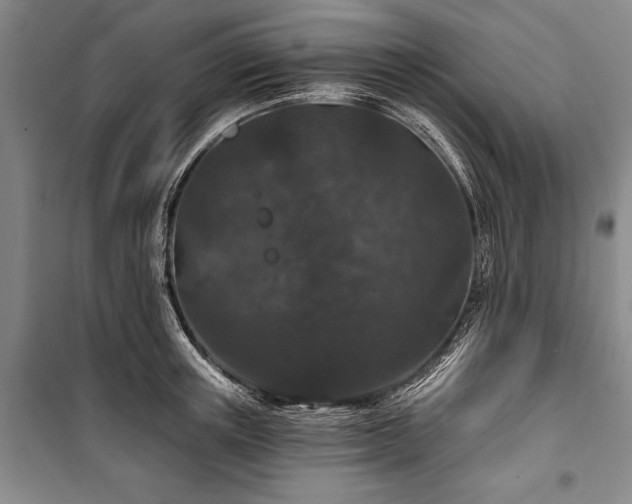 X0000101140851200806270918