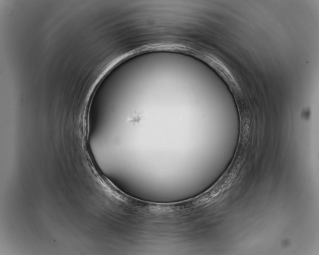 X0000101140852200806270918