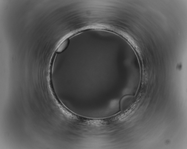 X0000101140853200806270918