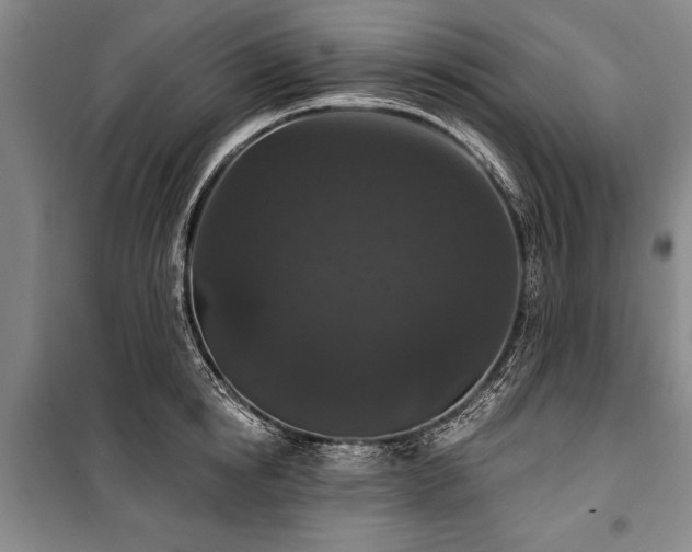 X0000101140854200806270918