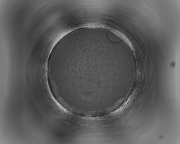 X0000101140855200806270918