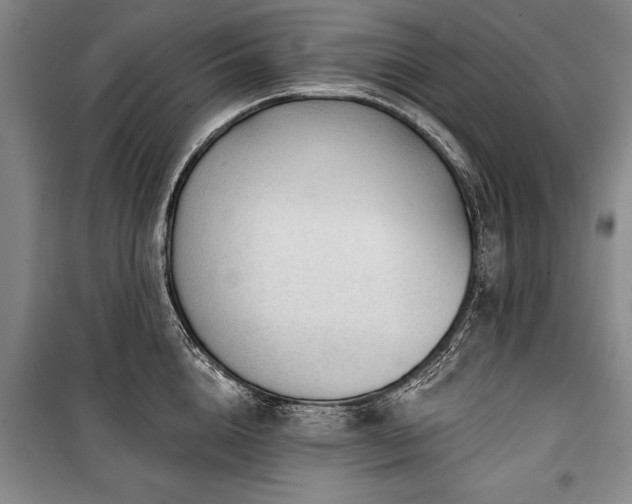 X0000101140856200806270918