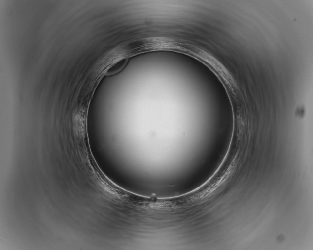 X0000101140857200806270918