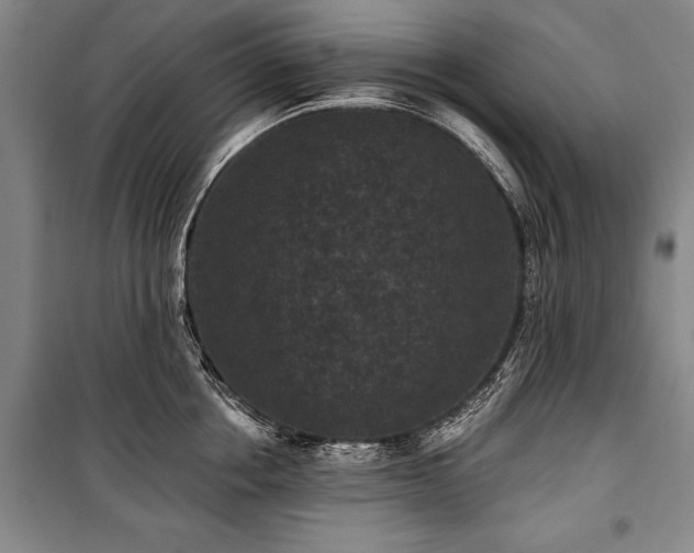 X0000101140858200806270918