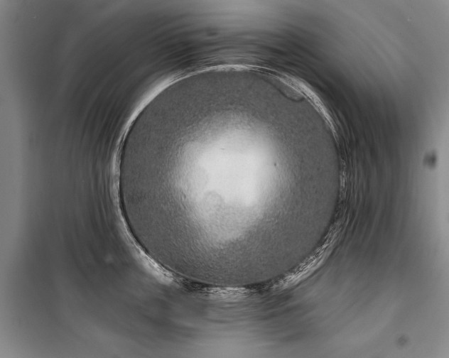 X0000101140859200806270918