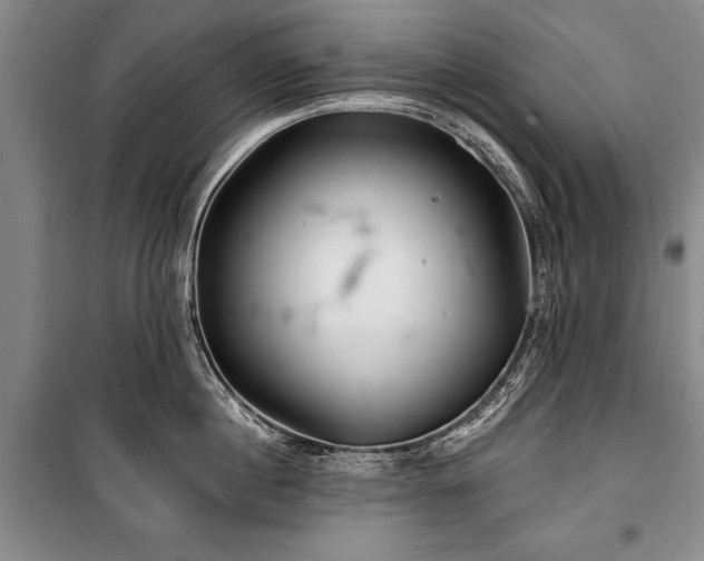 X0000101140860200806270918