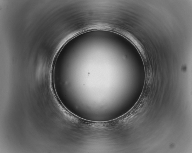 X0000101140861200806270918