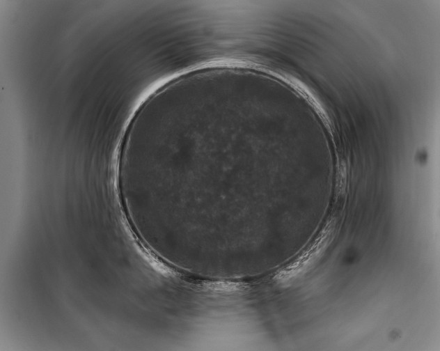 X0000101140862200806270918