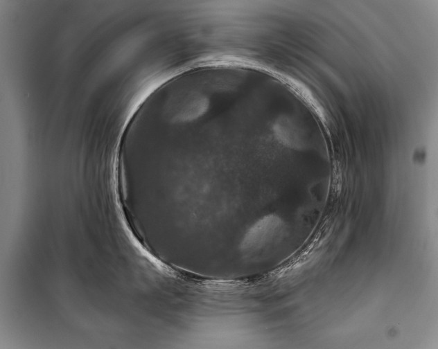 X0000101140863200806270918