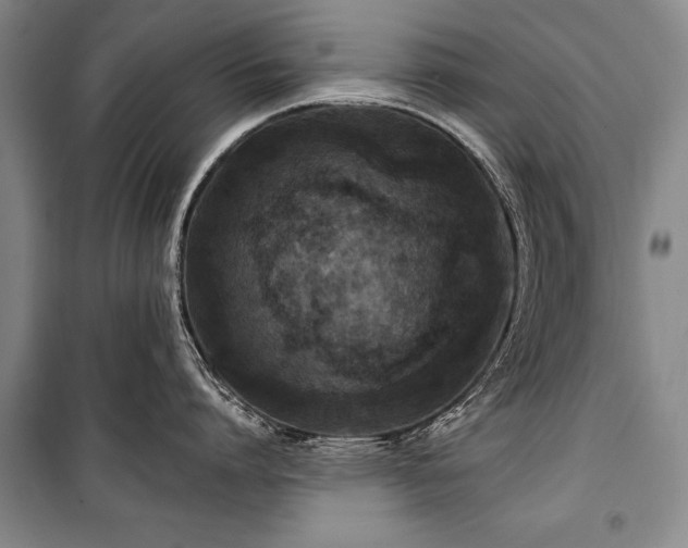 X0000101140864200806270918