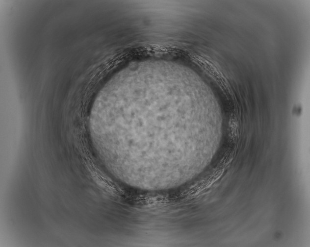 X0000101140865200806270917